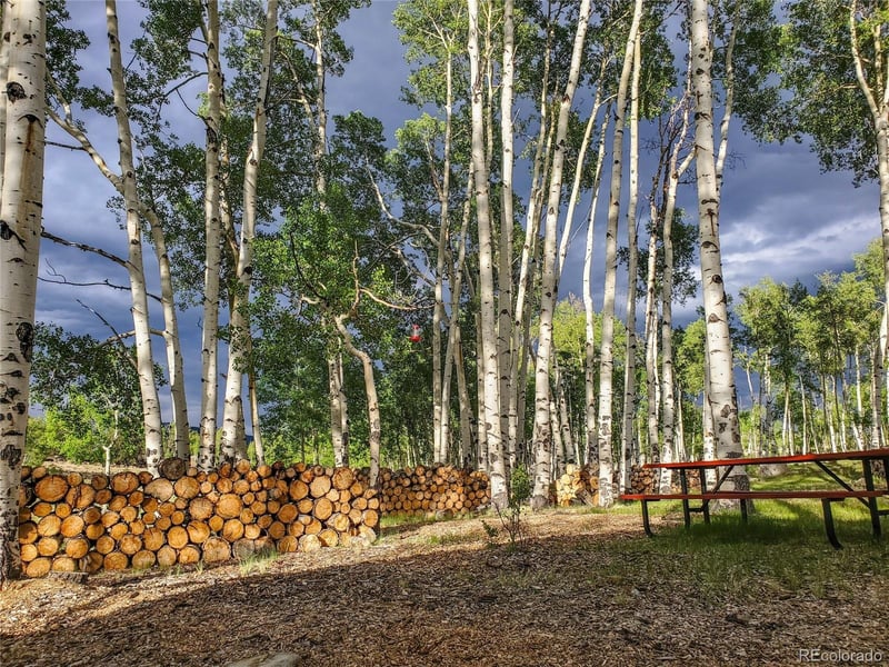 411 Bandalier Dr, Hartsel, CO 80449