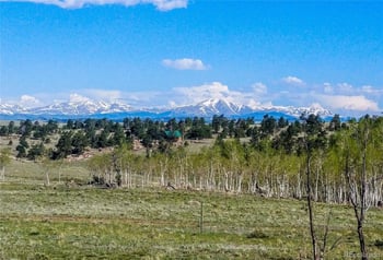 411 Bandalier Dr, Hartsel, CO 80449