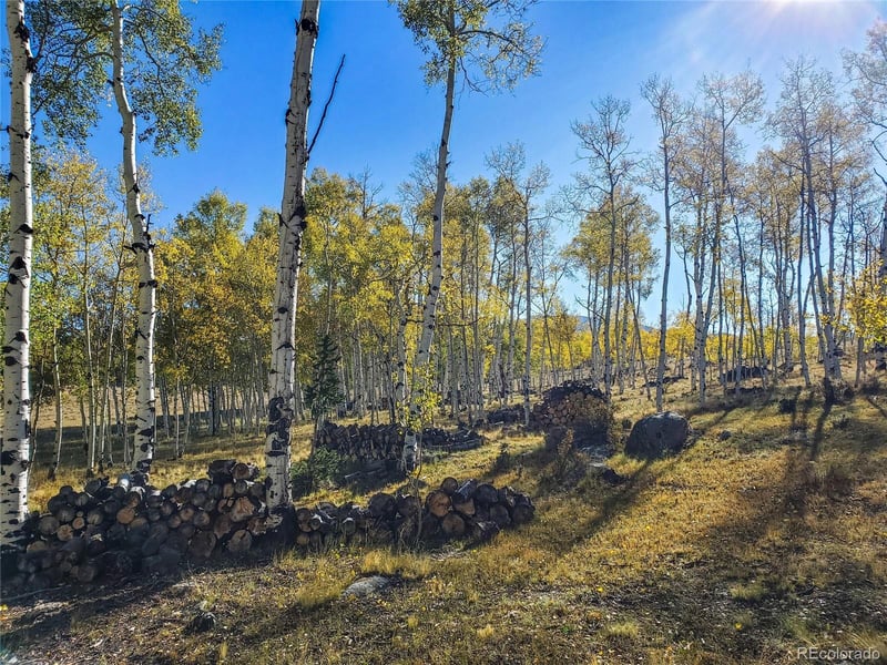 411 Bandalier Dr Lot 378 & 379, Hartsel, CO 80449