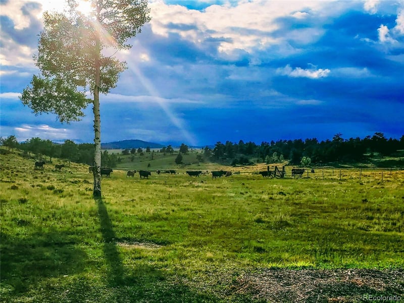 411 Bandalier Dr Lot 378 & 379, Hartsel, CO 80449