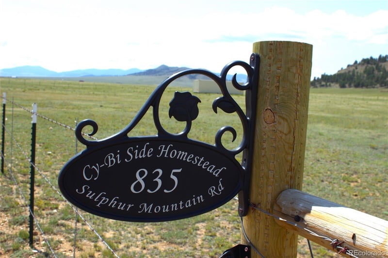 835 Sulphur Mountain, Lake George, CO 80827