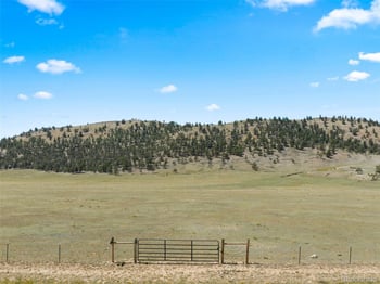 835 Sulphur Mountain, Lake George, CO 80827