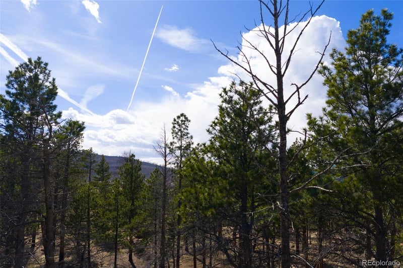 758 Marriott Cir, Fort Garland, CO 81133