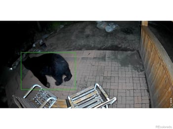 428 Rustic Rd, Bellvue, CO 80512