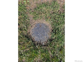 640 Kilmer St, Golden, CO 80401