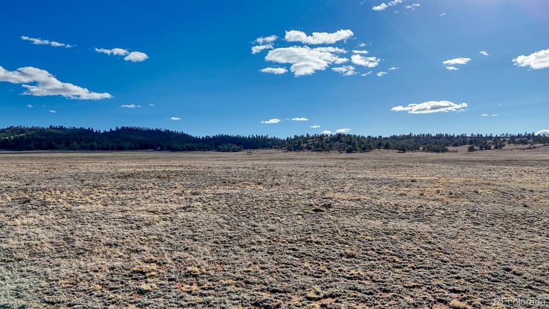 L5209 To Ma Kin Cir, Hartsel, CO 80449