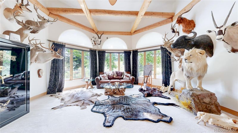 974 Spring Ranch Dr, Golden, CO 80401