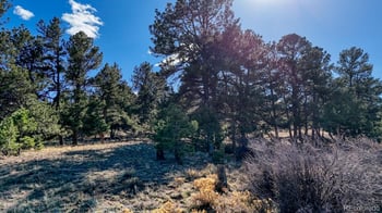 L5124 Arikara Trl, Hartsel, CO 80449