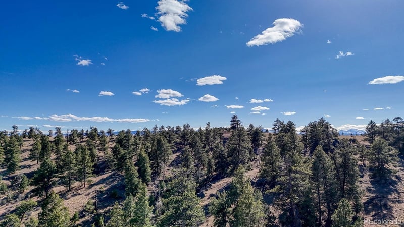 L5124 Arikara Trl, Hartsel, CO 80449