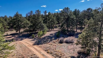 L5124 Arikara Trl, Hartsel, CO 80449