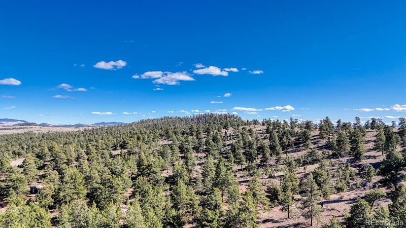 L5124 Arikara Trl, Hartsel, CO 80449