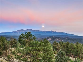 1721 Wildhorn Rd, Florissant, CO 80816