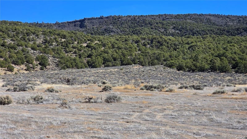 Lot 75 Old Stage Coach Rd, San Luis, CO 81152