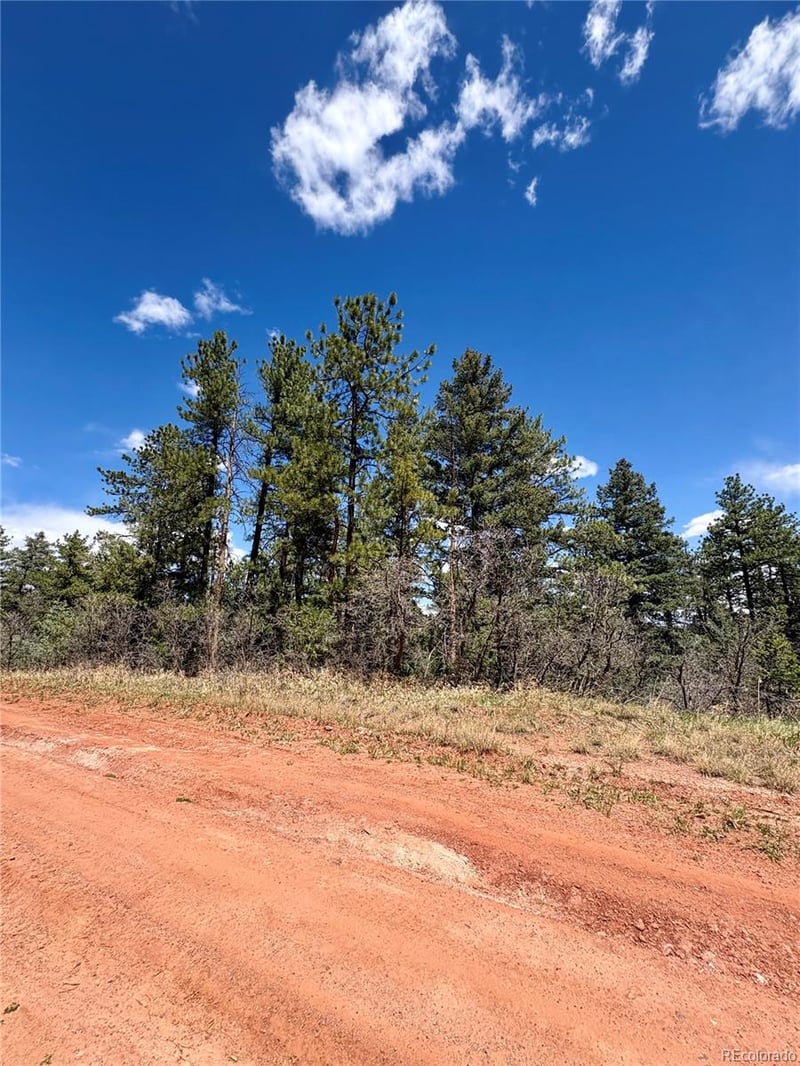 8200 Acoma Dr, Larkspur, CO 80118