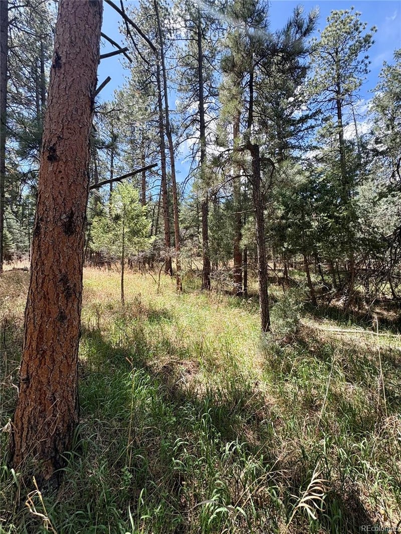 8200 Acoma Dr, Larkspur, CO 80118