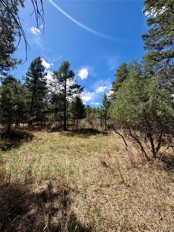 8200 Acoma Dr, Larkspur, CO 80118