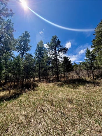 8200 Acoma Dr, Larkspur, CO 80118