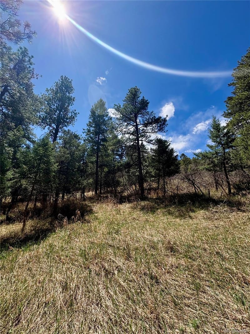 8200 Acoma Dr, Larkspur, CO 80118