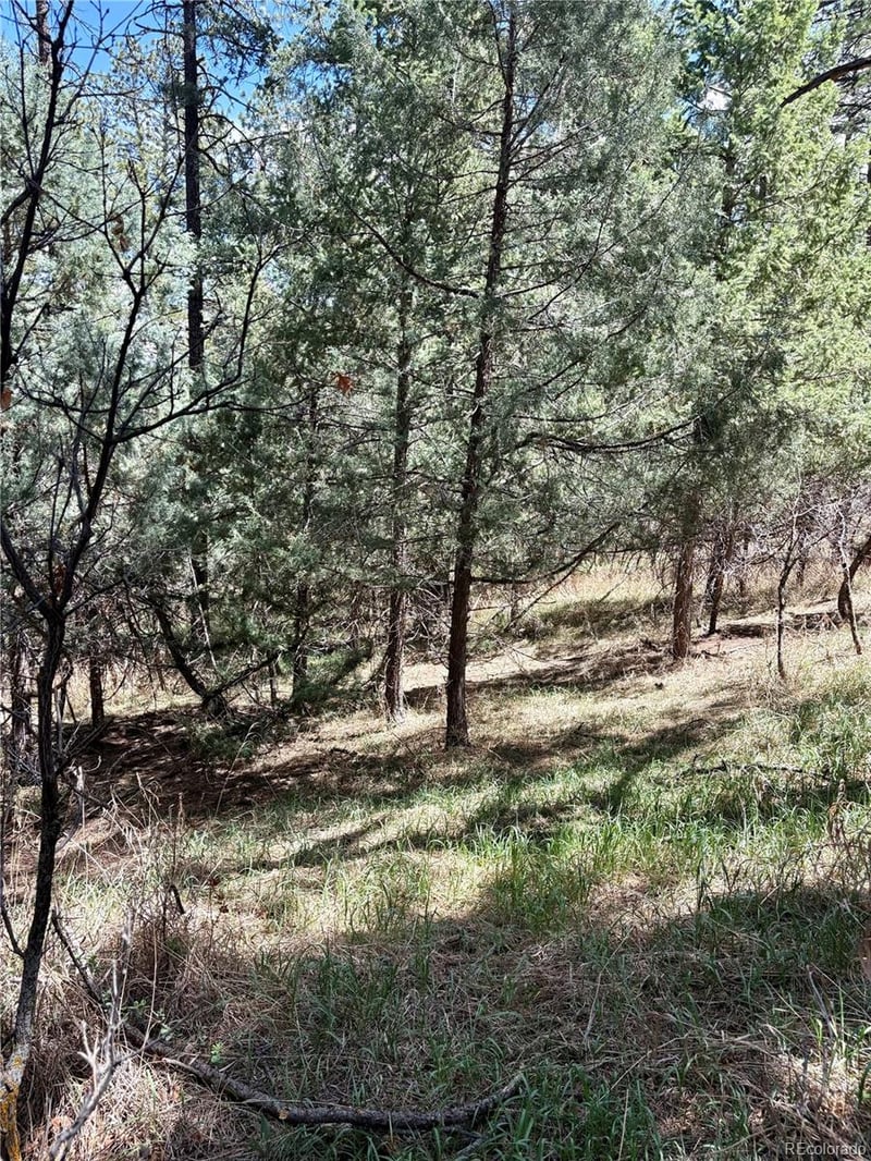 8200 Acoma Dr, Larkspur, CO 80118