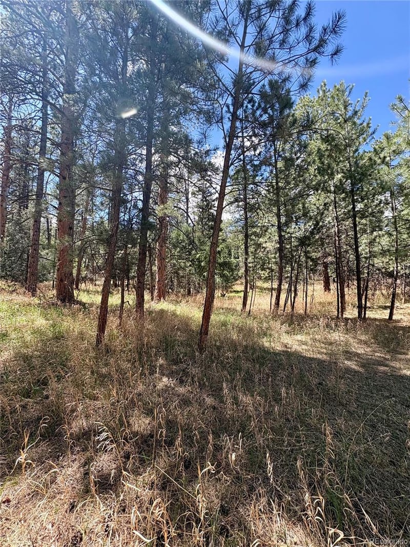 8200 Acoma Dr, Larkspur, CO 80118