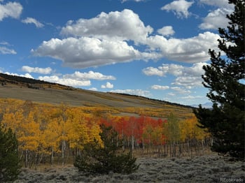 2079 High Creek Rd, Fairplay, CO 80440