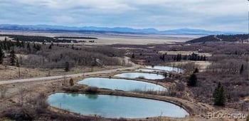 2079 High Creek Rd, Fairplay, CO 80440