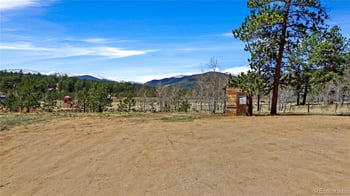 2275 Shelton Dr, Bailey, CO 80421