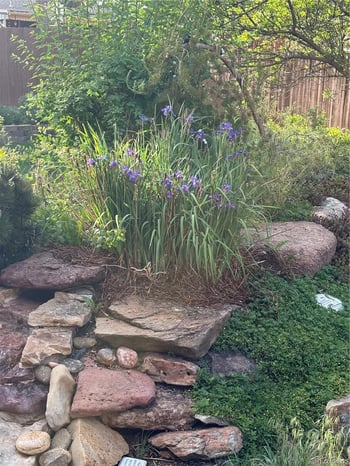 6346 Monticello Ave, Littleton, CO 80128