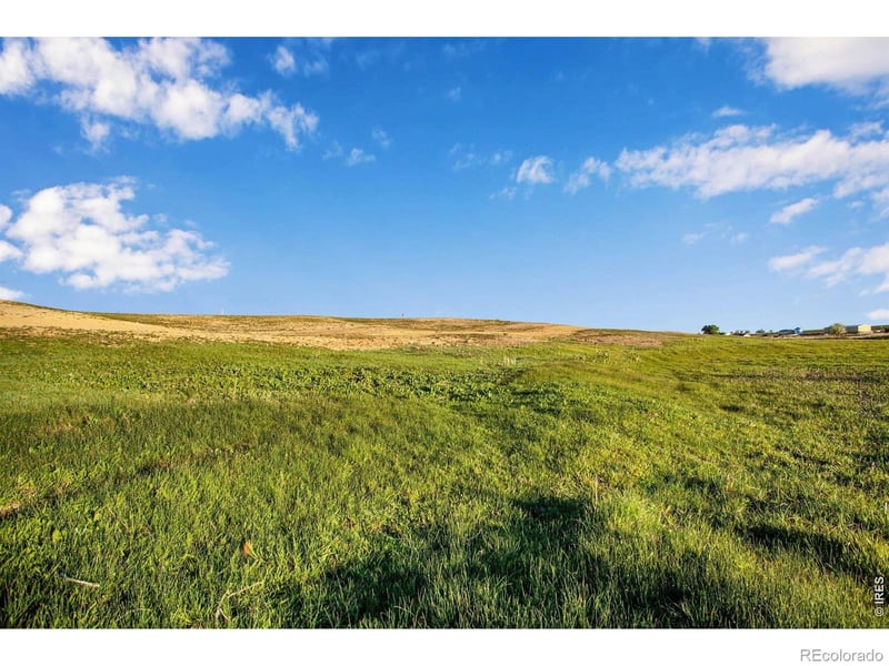 County Road 76 1/2, Windsor, CO 80550
