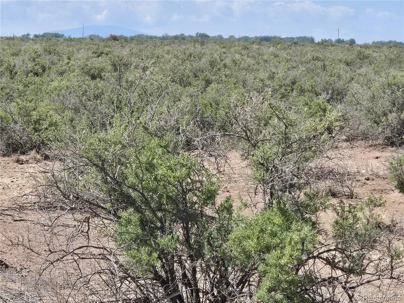40 Acres Tbd, Mosca, CO 81146