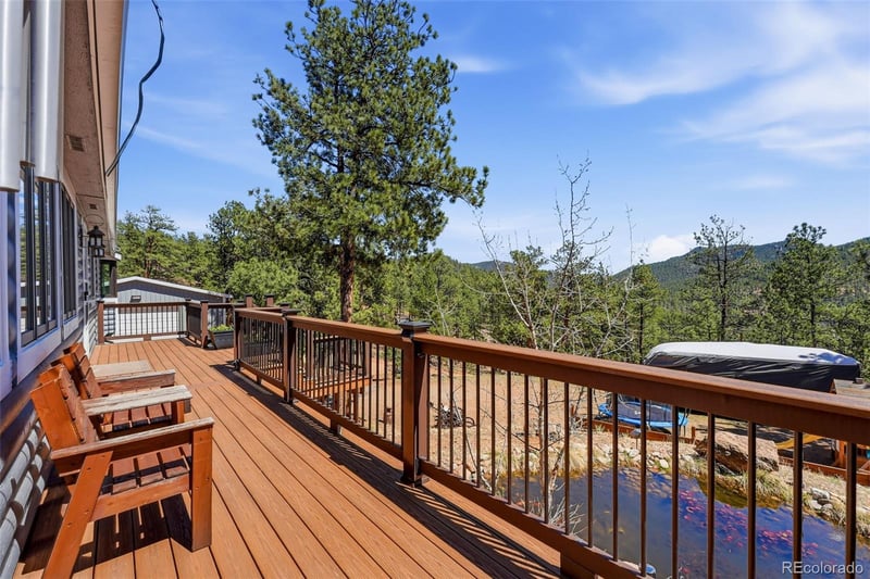 16687 Ouray Rd, Pine, CO 80470