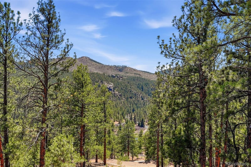 16687 Ouray Rd, Pine, CO 80470