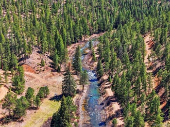 16687 Ouray Rd, Pine, CO 80470