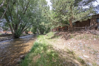 121 Brookdale , Buena Vista, CO 81211