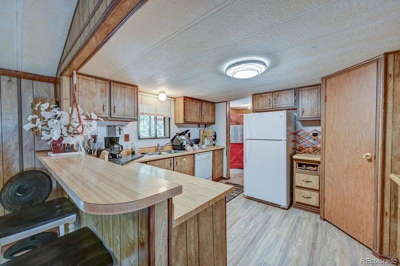 121 Brookdale , Buena Vista, CO 81211