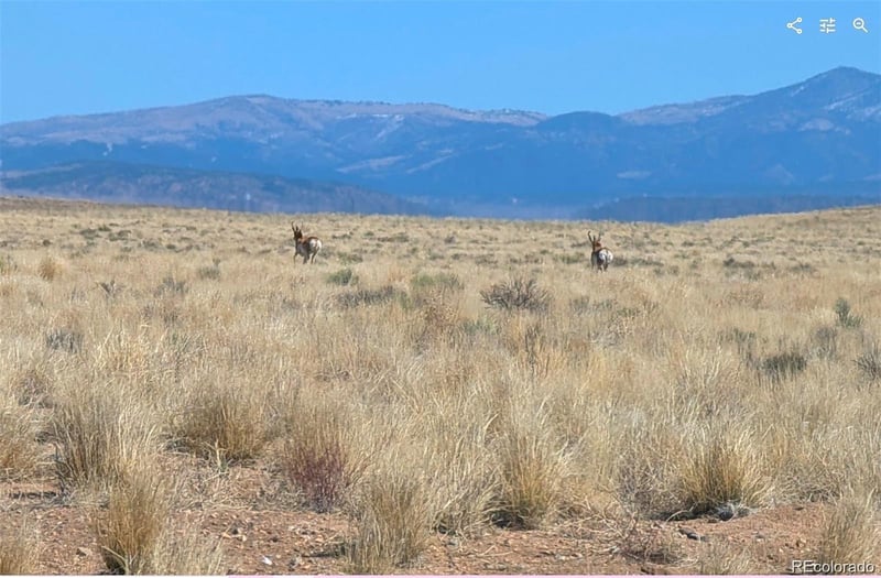 Lot 4 Grandby Rd, Blanca, CO 81123
