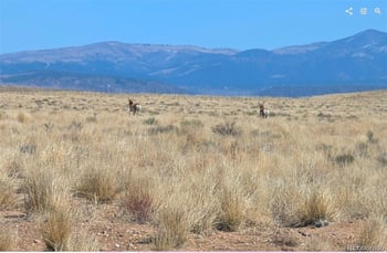 Lot 4 Grandby Rd, Blanca, CO 81123