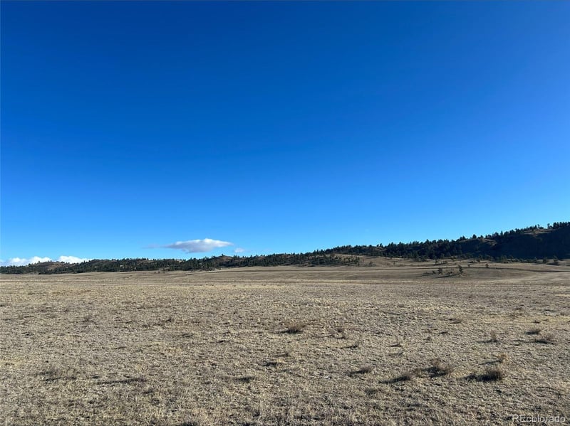 4558 Clear Creek Rd, Hartsel, CO 80449