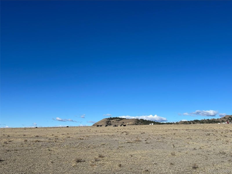 4558 Clear Creek Rd, Hartsel, CO 80449