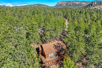 261 Impala Trl, Bailey, CO 80421