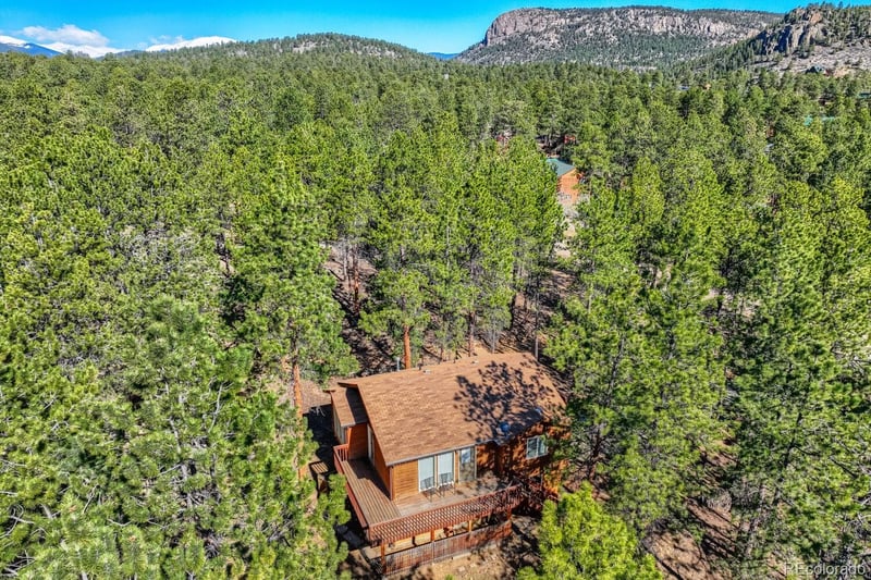 261 Impala Trl, Bailey, CO 80421