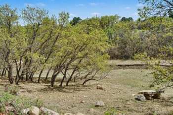 4215 Star Ranch Rd, Colorado Springs, CO 80906