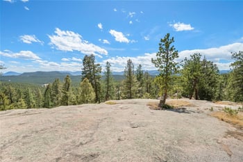 237 Road B, Pine, CO 80470
