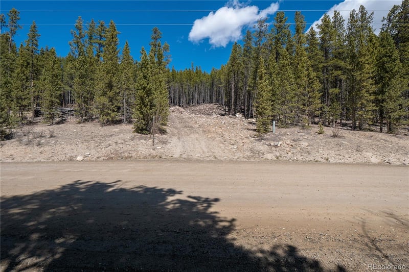 3149 Nugget Rd, Fairplay, CO 80440