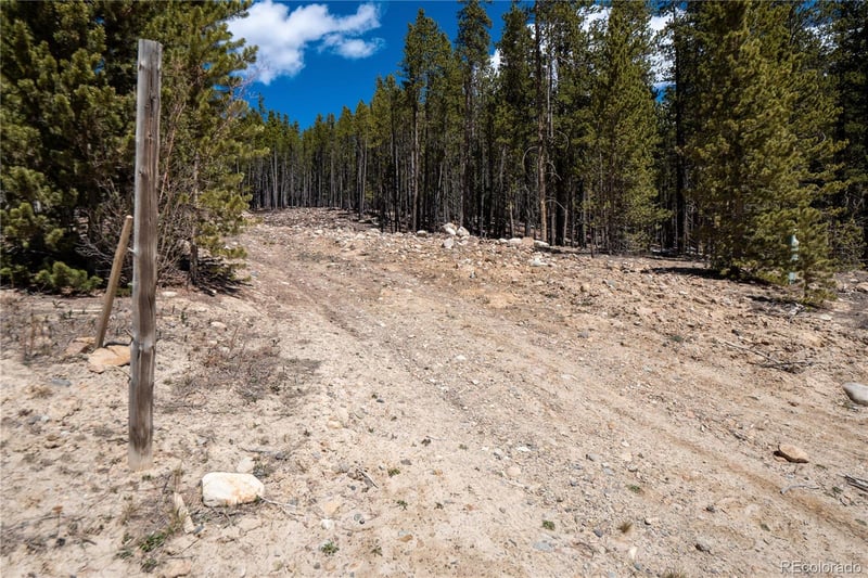 3149 Nugget Rd, Fairplay, CO 80440