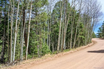 2763 Mountain Estates Rd, Florissant, CO 80816