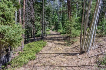 2763 Mountain Estates Rd, Florissant, CO 80816