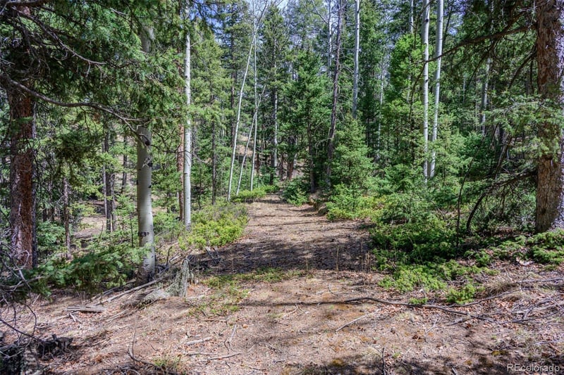 2763 Mountain Estates Rd, Florissant, CO 80816