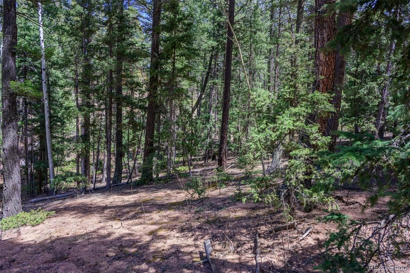 2763 Mountain Estates Rd, Florissant, CO 80816