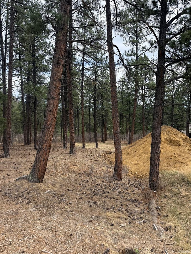 636 Copper Fox Pl, Larkspur, CO 80118